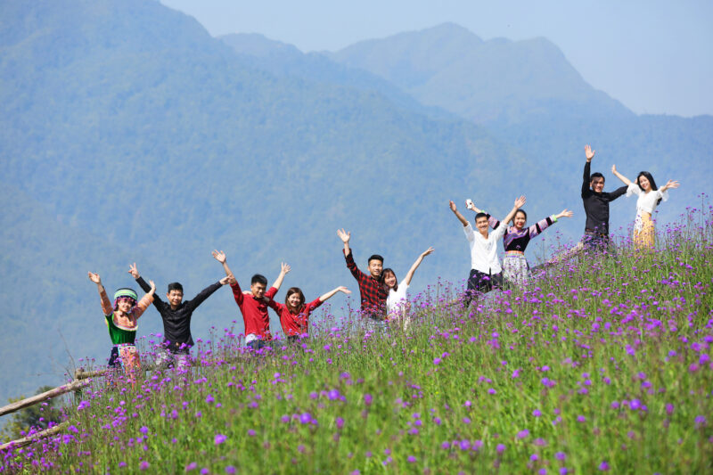 Cảnh đẹp lãng mạn với con đường hoa nở rực rỡ trên đỉnh Fansipan