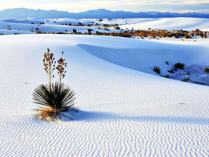 Khám phá vẻ đẹp vườn quốc gia White Sands